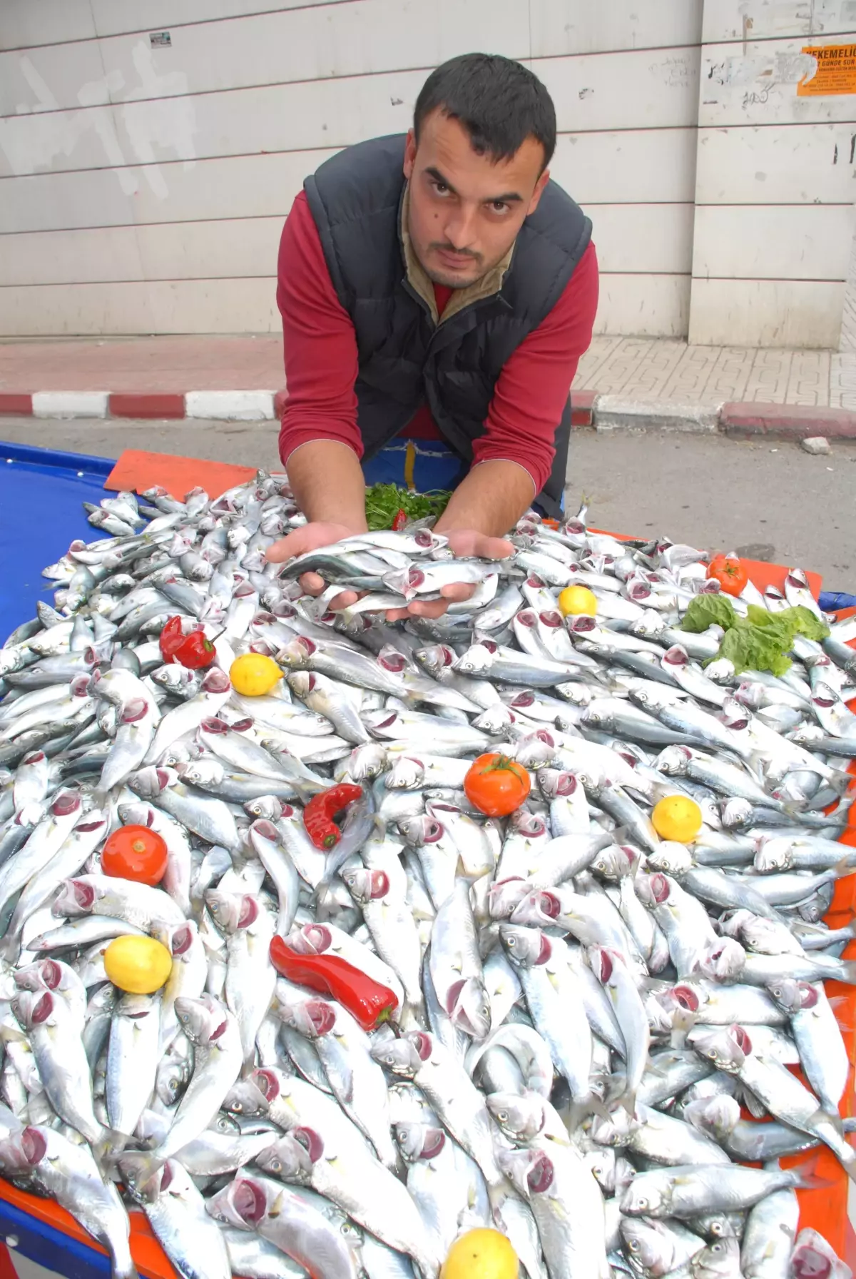 Kurbanlık Et Çinakopun Kilosunu 5 Liraya Düşürdü