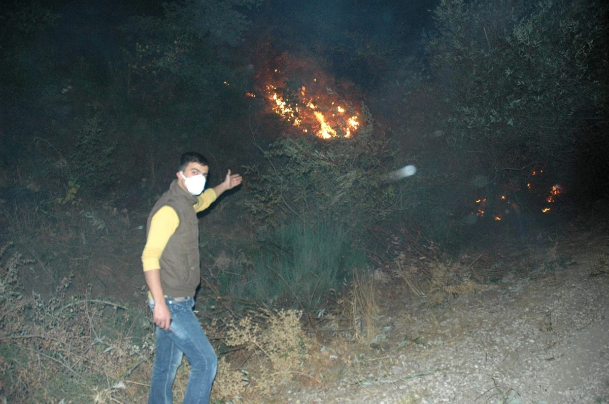 Spil Dağı Milli Parkı\'ndaki Orman Yangını