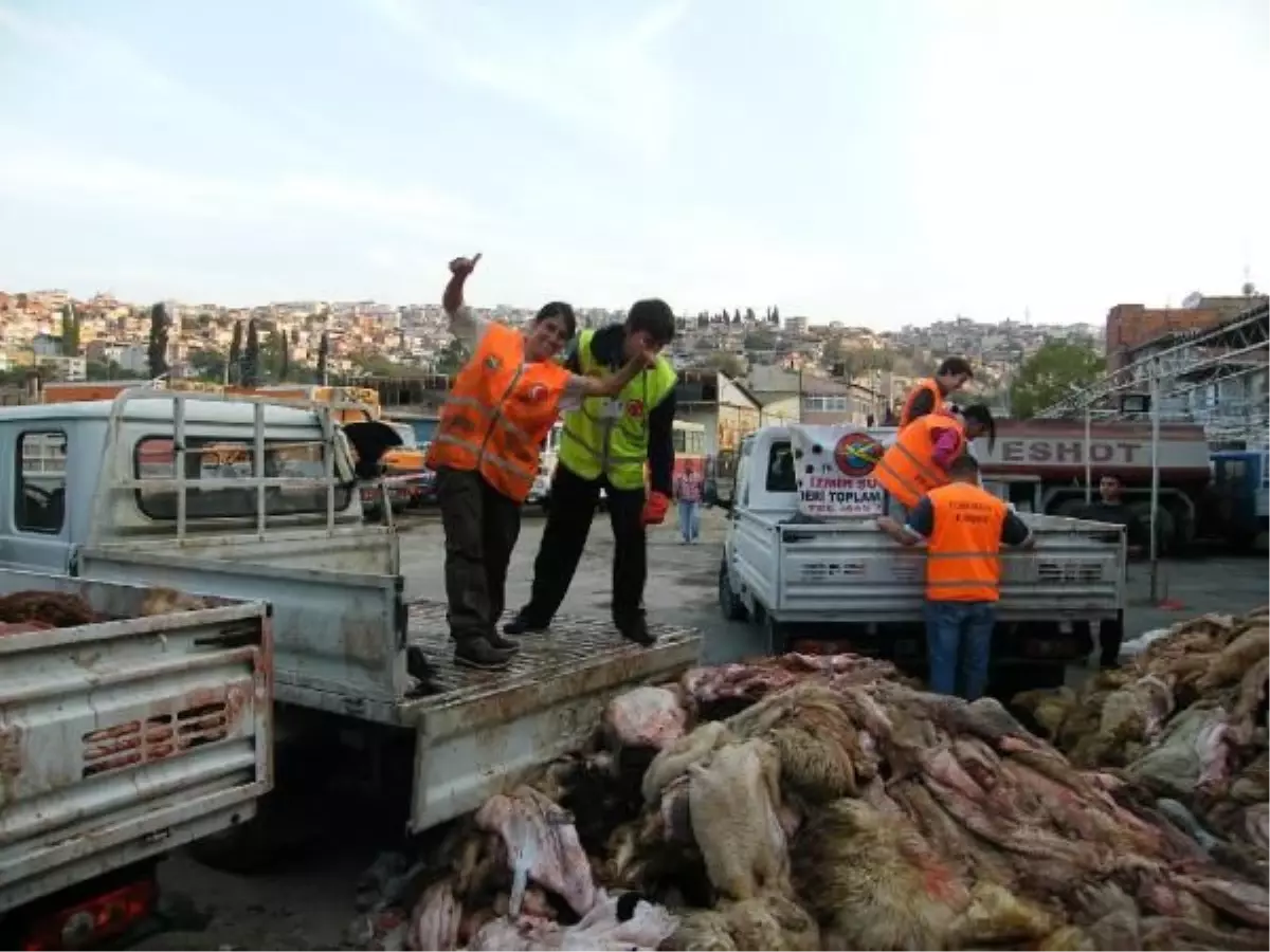 Thk, 16 Ton Büyükbaş, 964 Adet Küçükbaş Hayvan Derisi Topladı