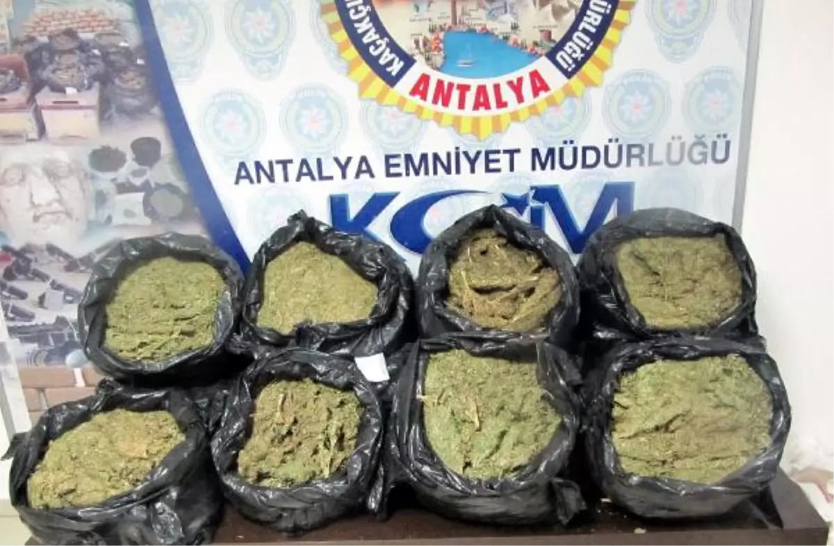 Antalya\'da 58 Kilo Esrar Ele Geçirildi