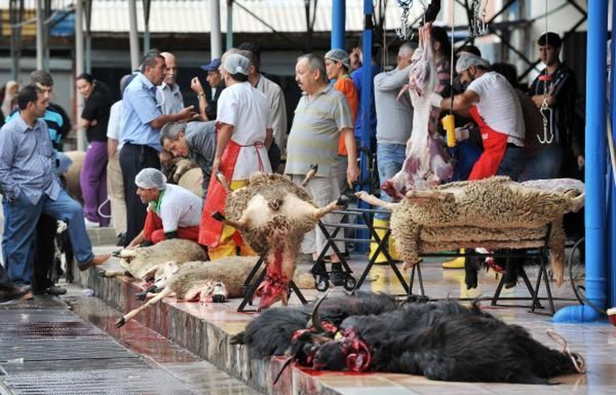 Türk Hava Kurumu\'nun Malkara\'da Topladığı Kurban Derileri