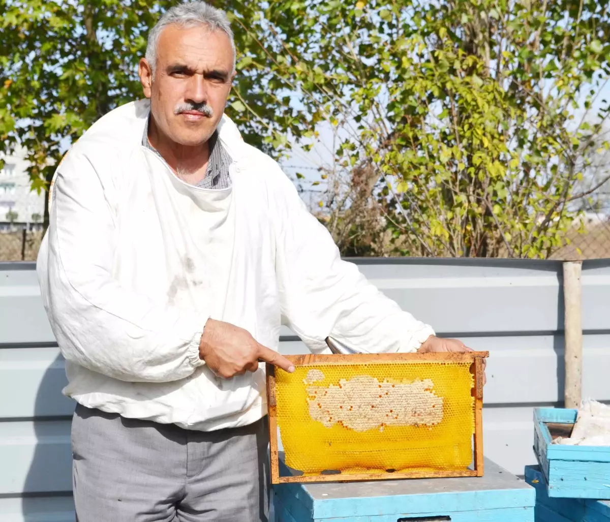 Arılar Bal ile Türkiye Haritası Yaptı