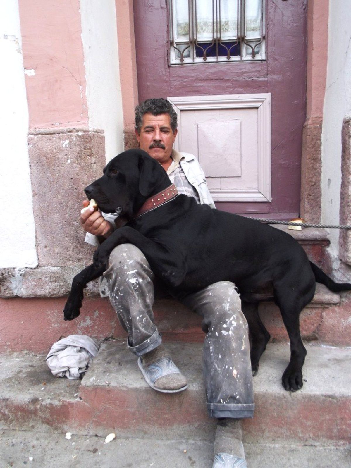 Paşa, Sahibine Sadakatiyle Dikkat Çekiyor