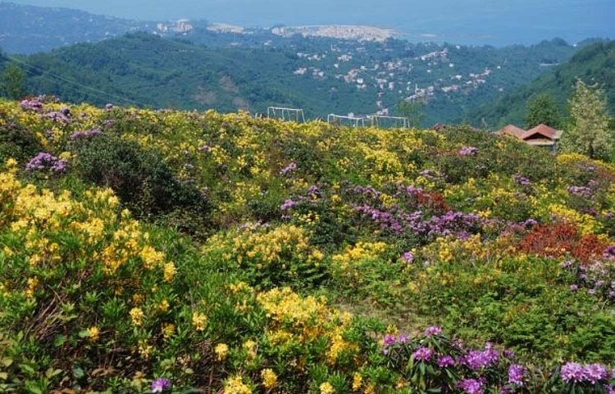 Giresun\'da Yamaç Paraşütü İçin Alan Taraması Yapıldı