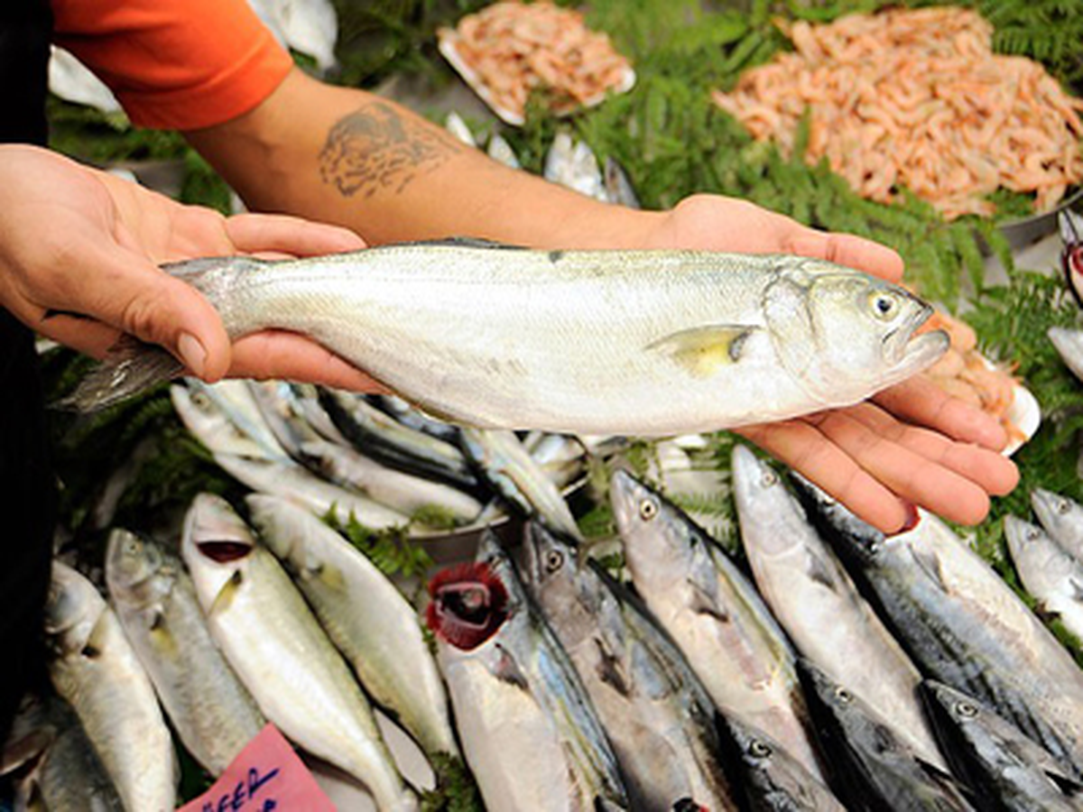 Tezgahlarda Palamudun Yerini Lüfer Aldı