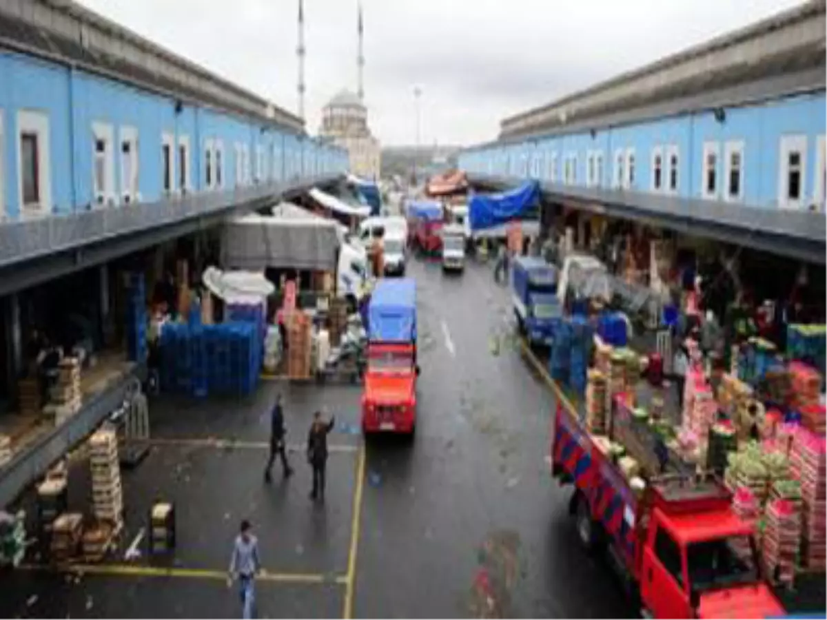 Yeni Sezon Sera Ürünleri Hale Gelmeye Başladı