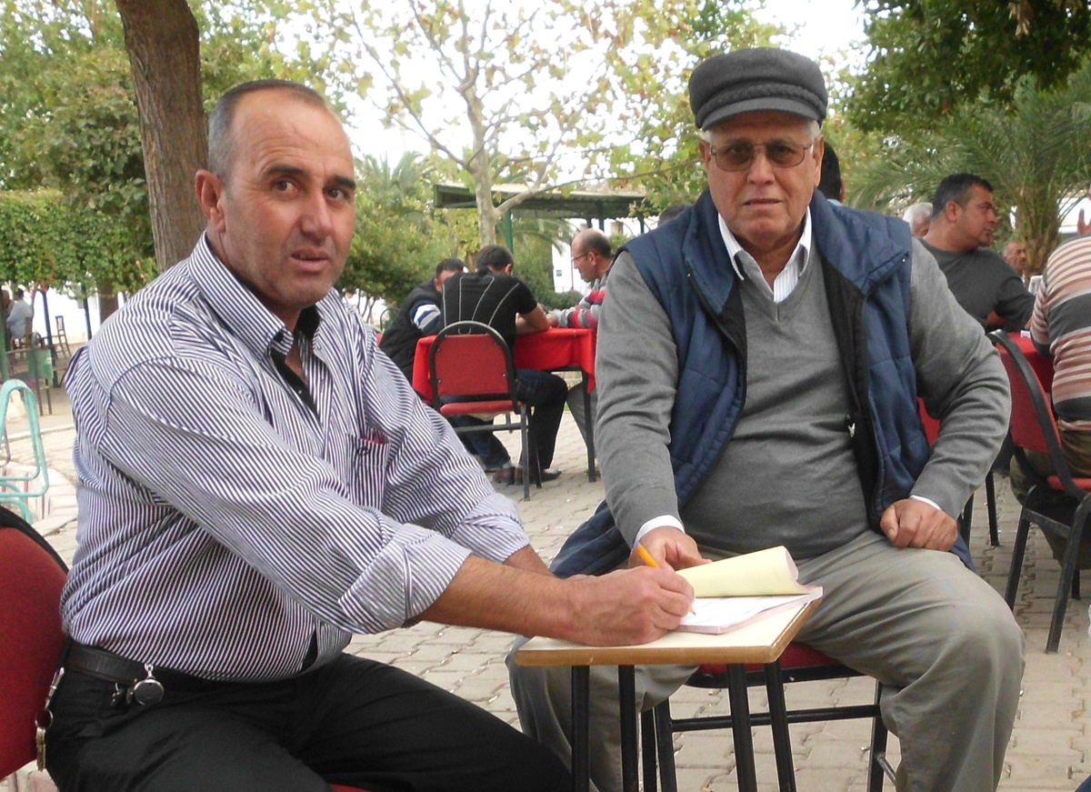Zeytinde Rekolte Beyanname Verme Süresi 15 Kasım\'da Sona Eriyor
