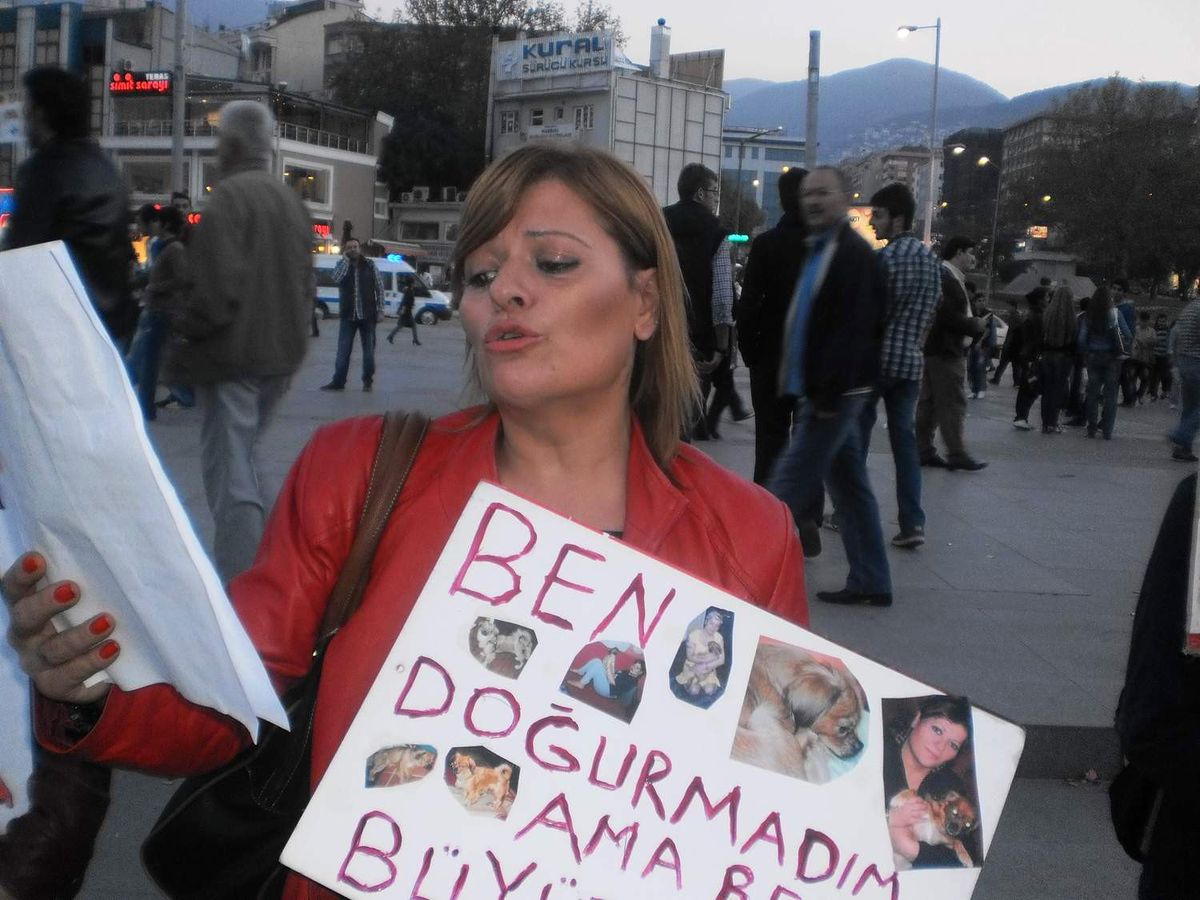 Hayvanseverler Yeni Kanuna Tepkili