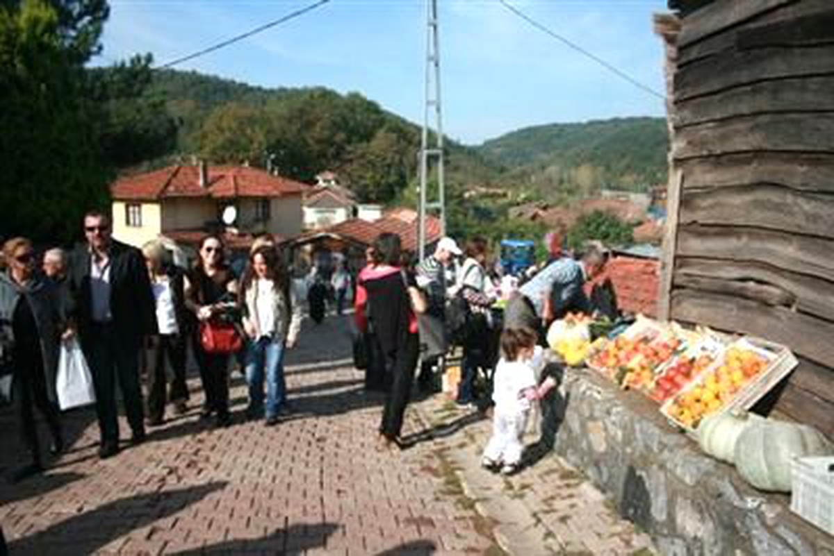 Organik Tohumlar Bu Kez Şile\'de Takas Edildi