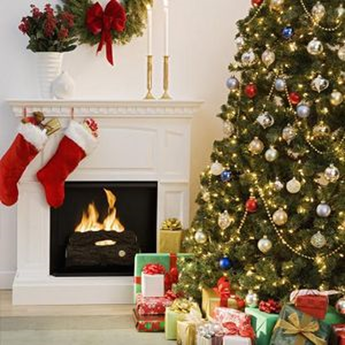 Vatikan\'ın Noel Ağacı İtalya\'dan