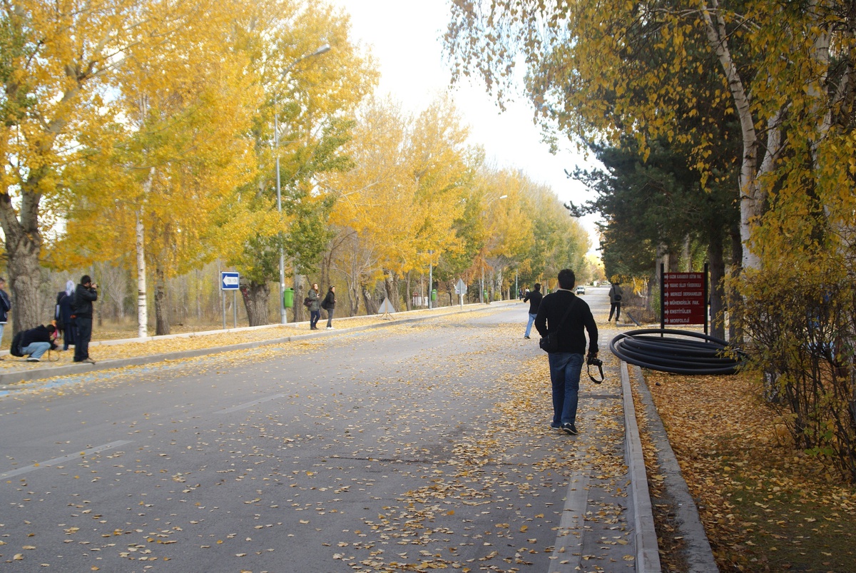 Erzurum\'da Gece En Düşük Hava Sıcaklığı Sıfırın Altına Düştü