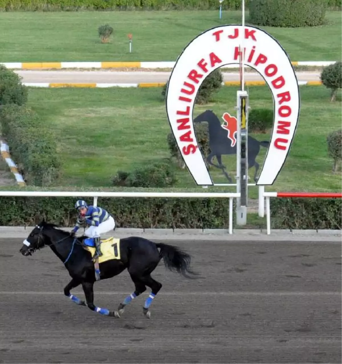 Şanlıurfa\'da At Yarışı Sezonuna Renkli Başlangıç