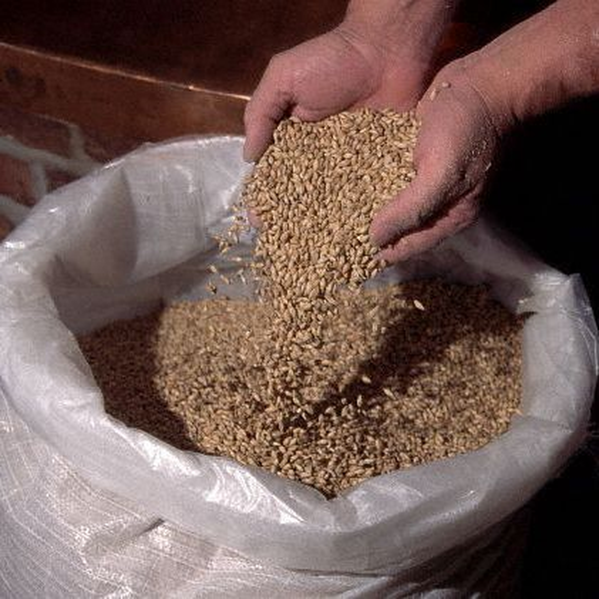 Şanlıurfa Ticaret Borsası