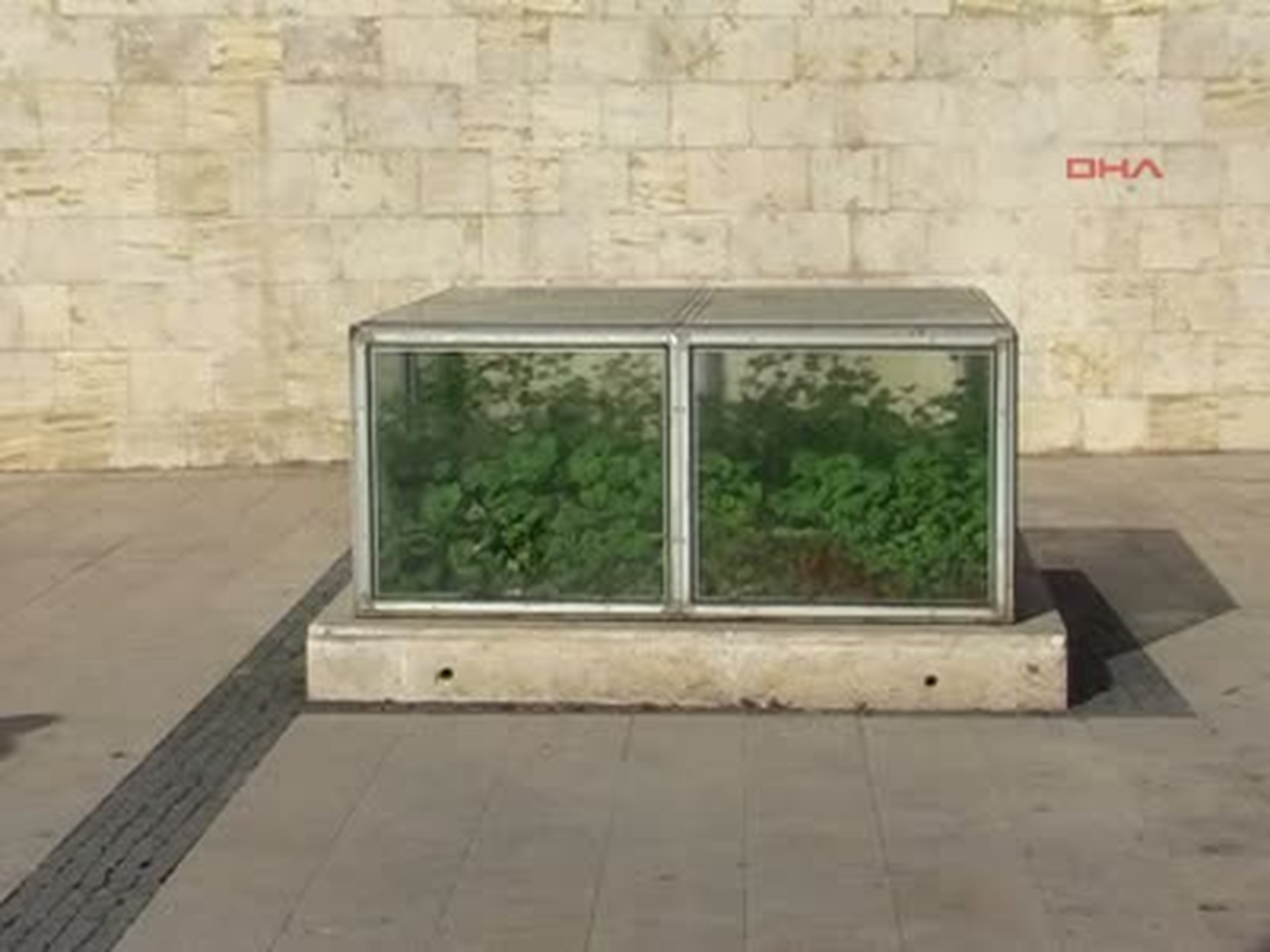 Sivas Sera Değil Tarihi Kalıntı Sera Değil Tarihi Kalıntı