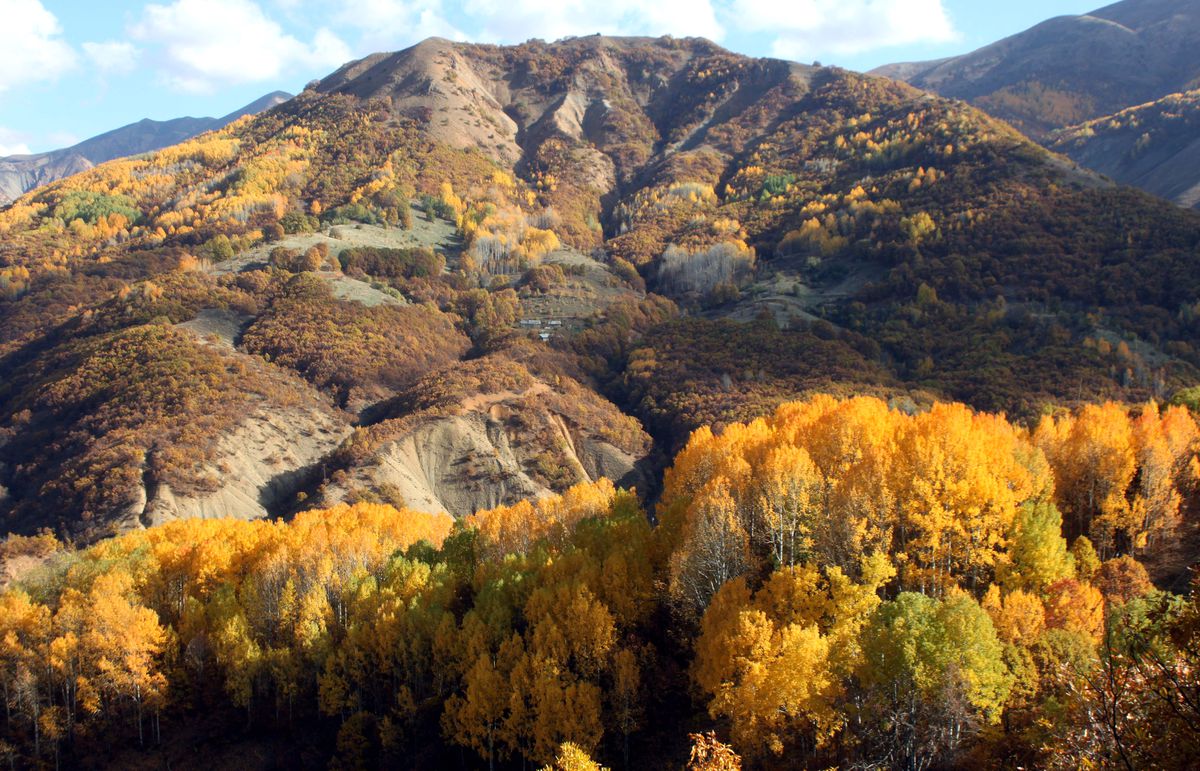 Tunceli\'de Renk Cümbüşü