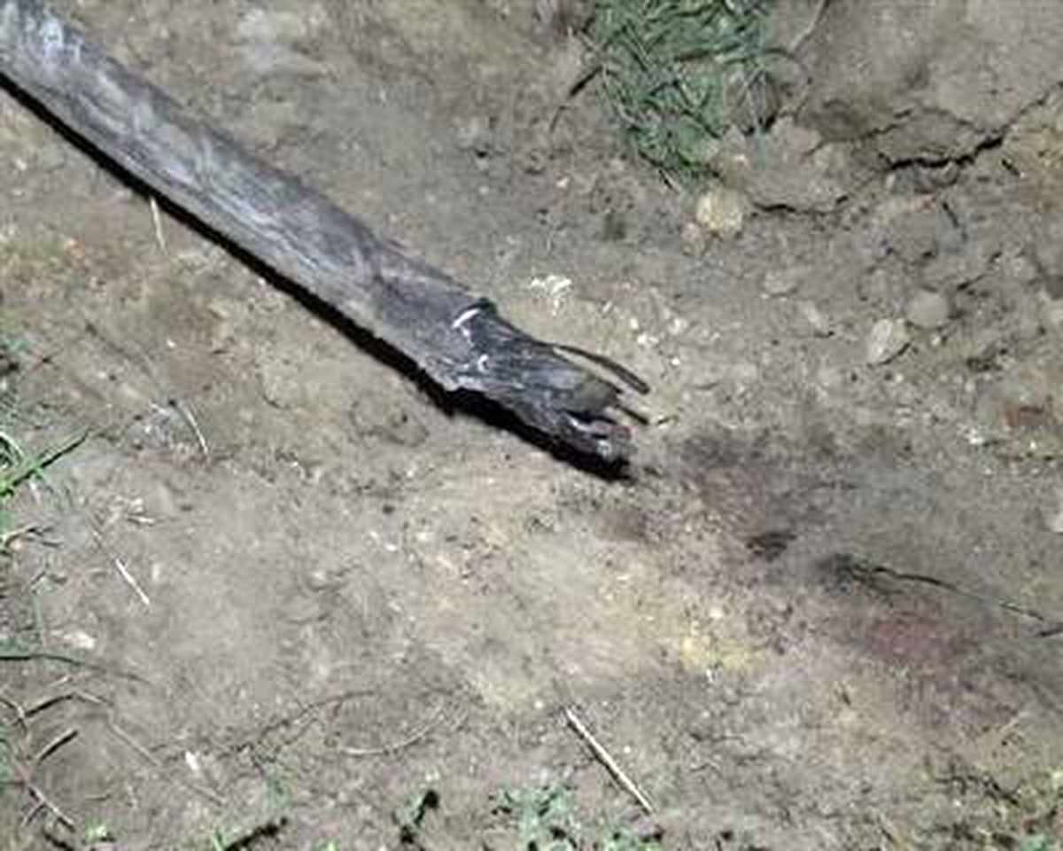 Açıkta Unutulan Elektrik Kablosu Paniğe Neden Oldu