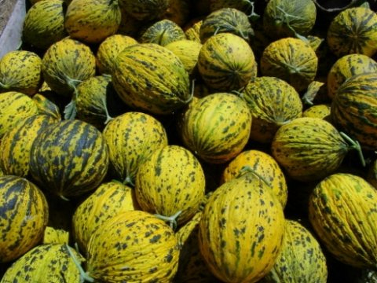Ekim\'de Zam Şampiyonu Kavun Oldu