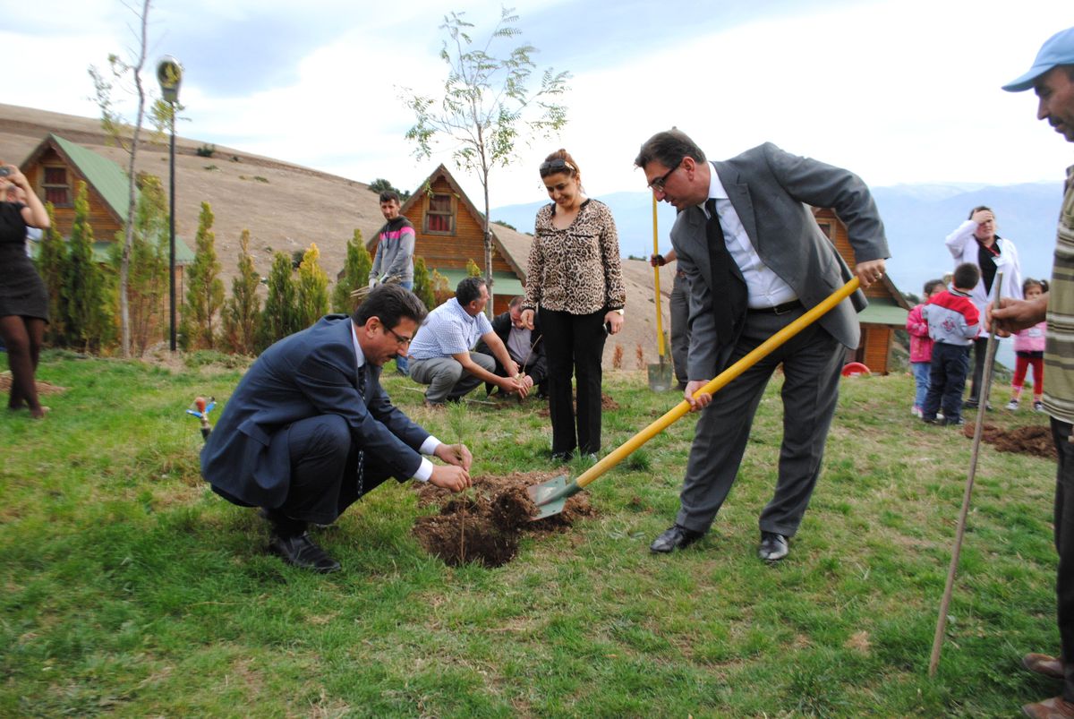 Gürsu\'da Çam Fidanları Toprakla Buluştu