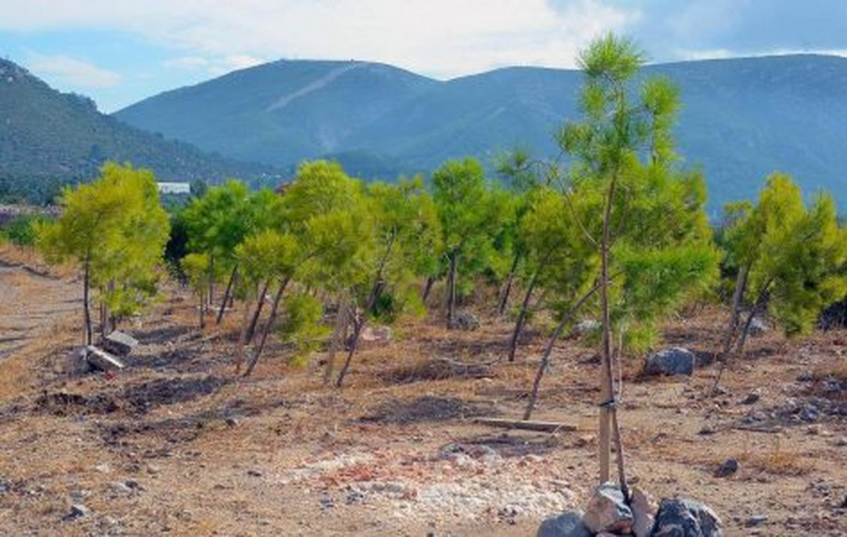 İzmir'den Örnek Bir Proje Daha