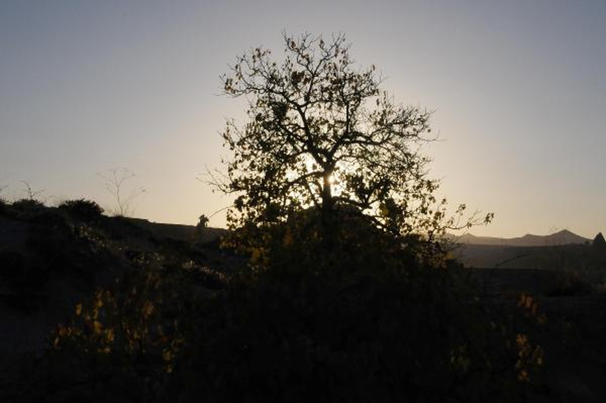 Kapadokya\'da Sonbahar Güzelliği