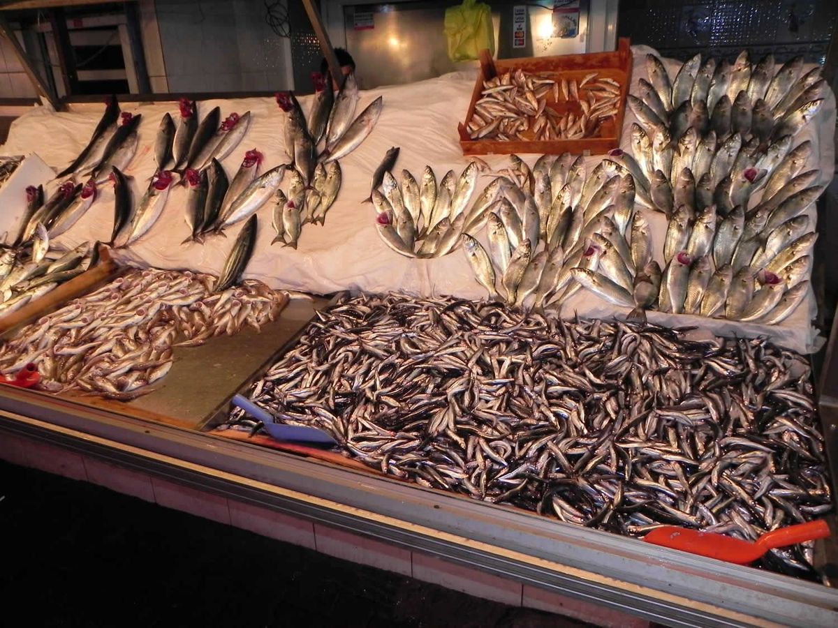 Karadeniz Hamsisi Tezgaha Düştü