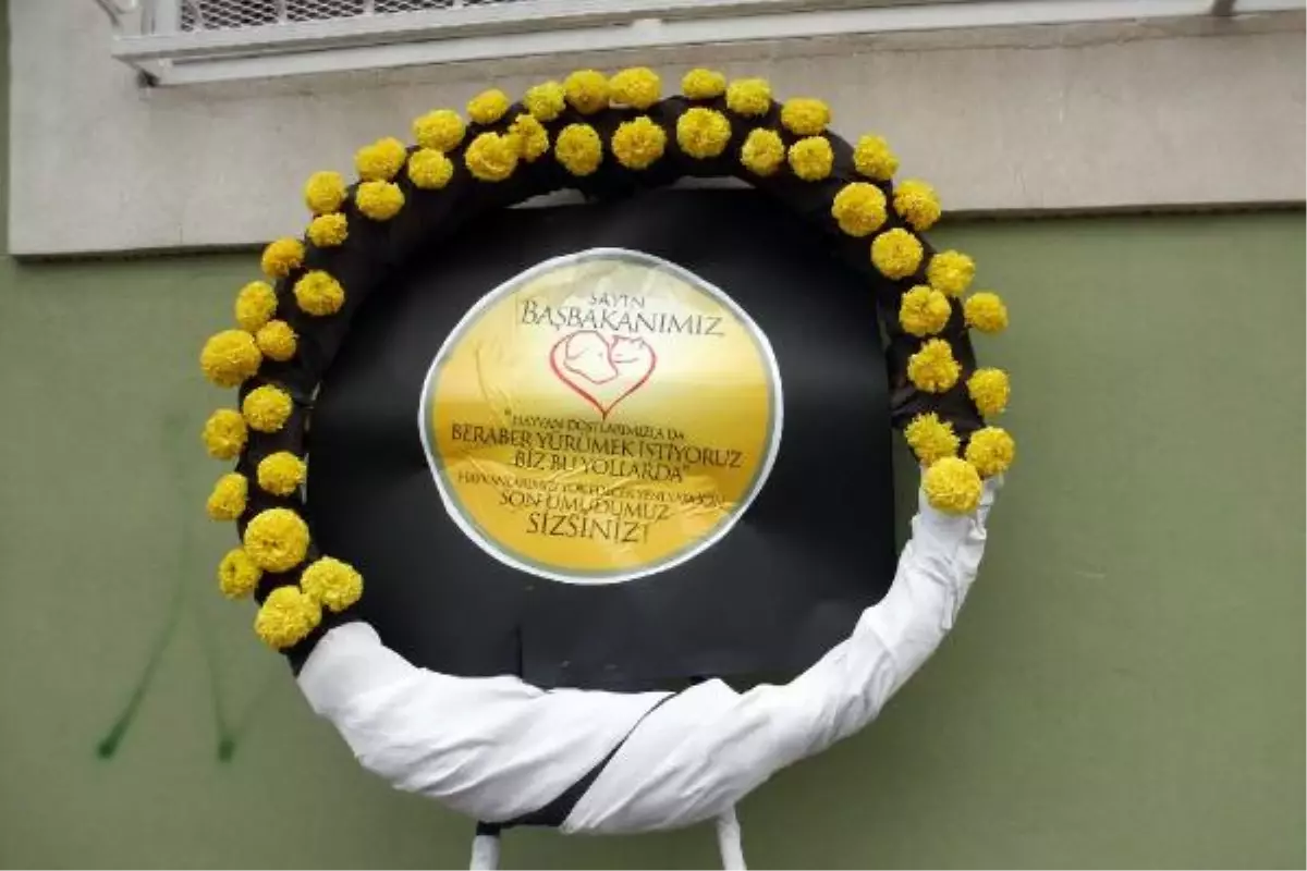 Hayvanseverlerden Başbakana \'İmdat Mektubu\'