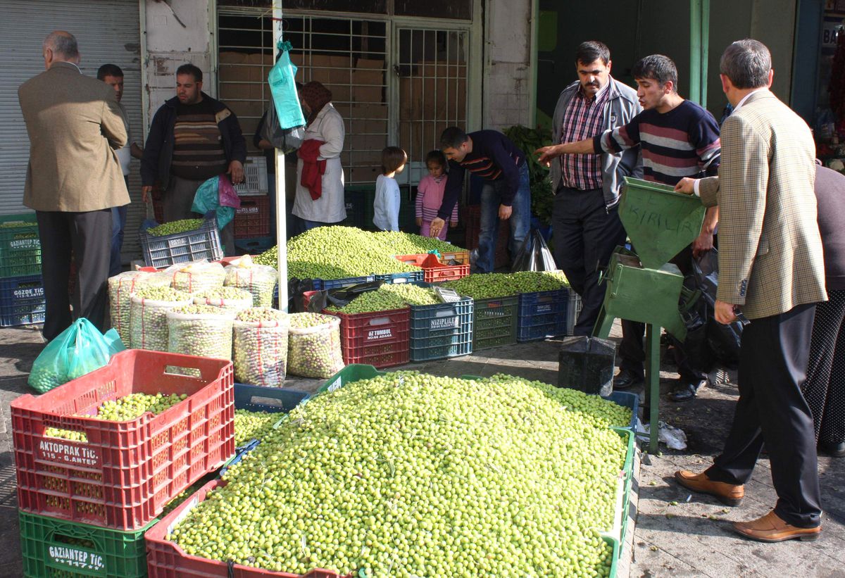 Yeşil Zeytin Tezgahtaki Yerini Aldı