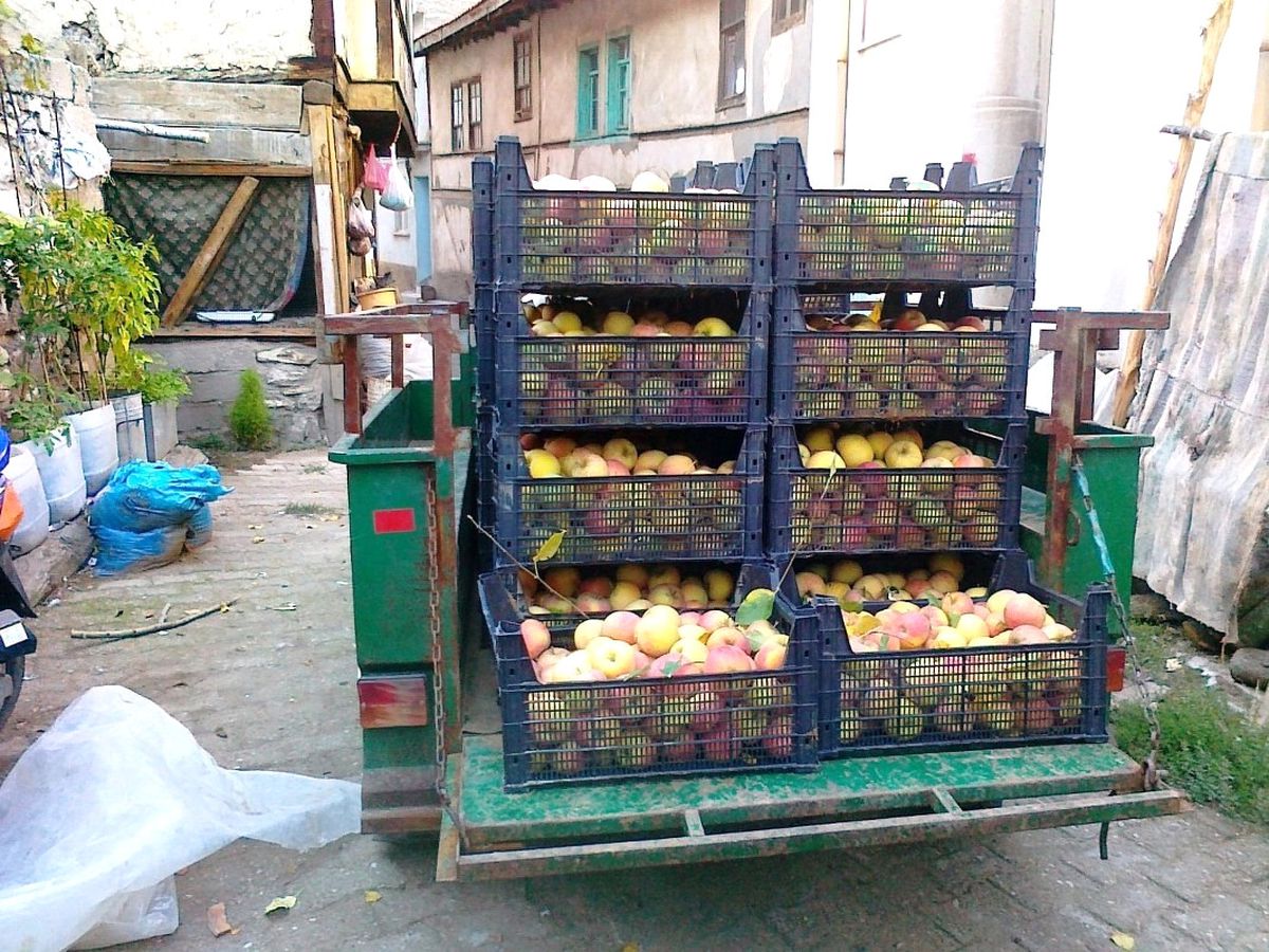 Elma Üreticileri Pazar Bulamamaktan Şikayetçi