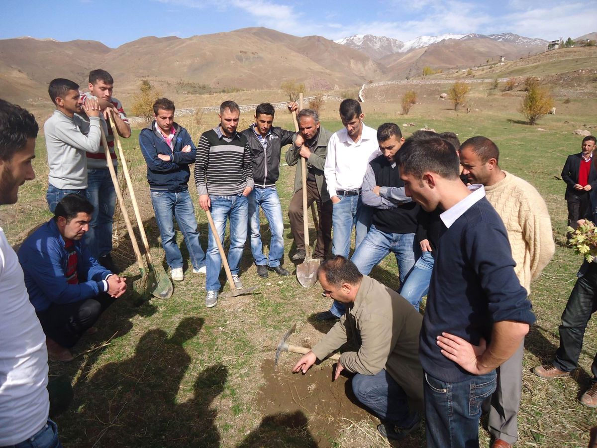 Hakkari\'de 500 Dekar Alana Ceviz Tohumu Ekimine Başlandı