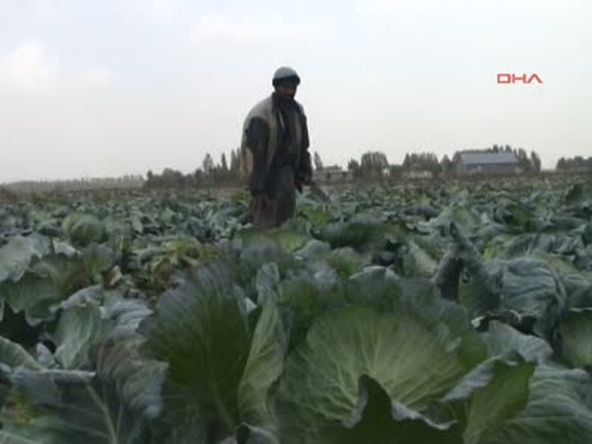 Köy Evlerinde Kış Telaşı