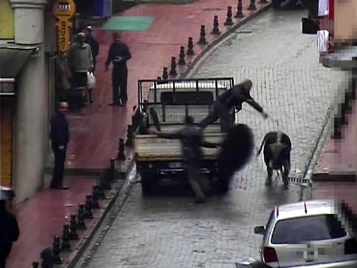 Rize\'de Mobese Kameralarına Yansıyan İlginç Olaylar