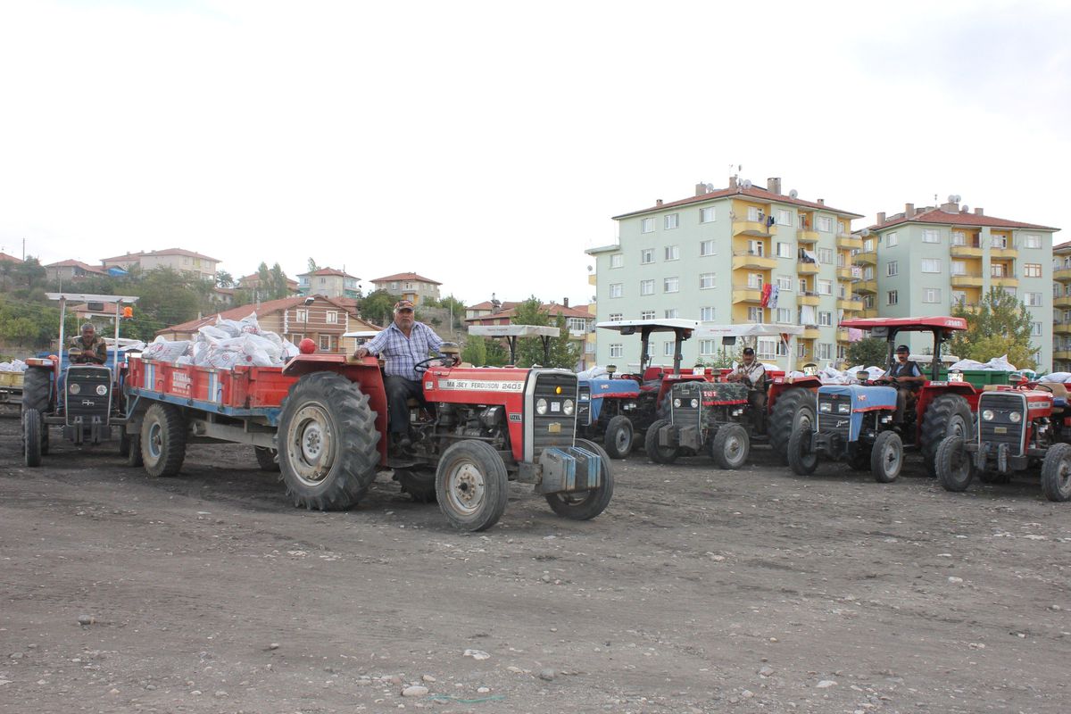 Sungurlu\'da 4 Bin 333 Aileye Kömür Dağıtımına Başlandı