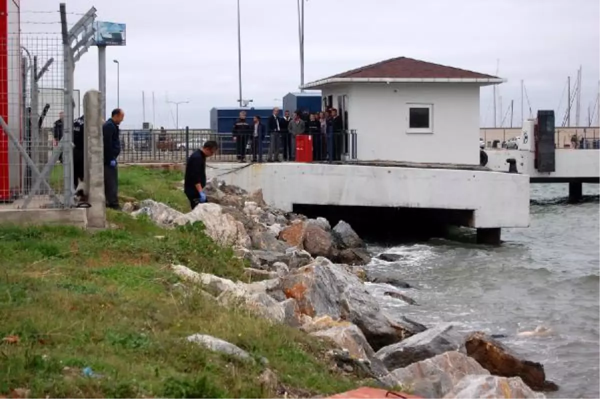 Yalova\'da Kıyıya Erkek Cesedi Vurdu