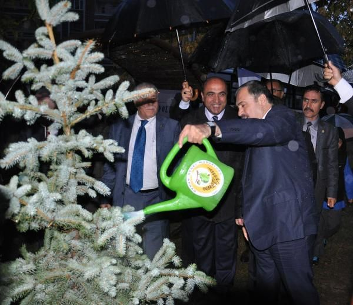Aksaray Bakan Eroğlu, Yağmur Altında Diktiği Fidana Can Suyu Verdi