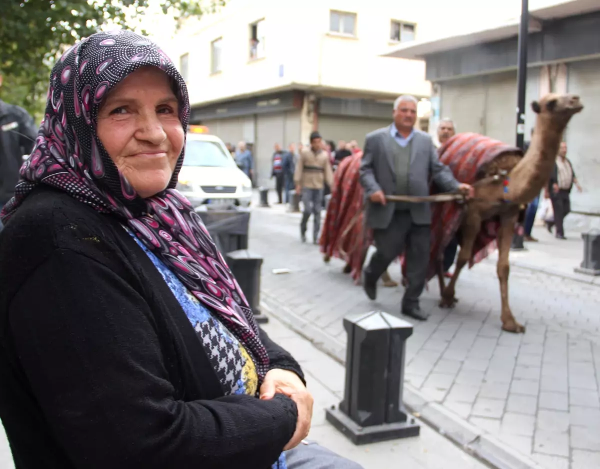 Asırlar Sonra \'Deve Kervanı\' Gaziantep\'te