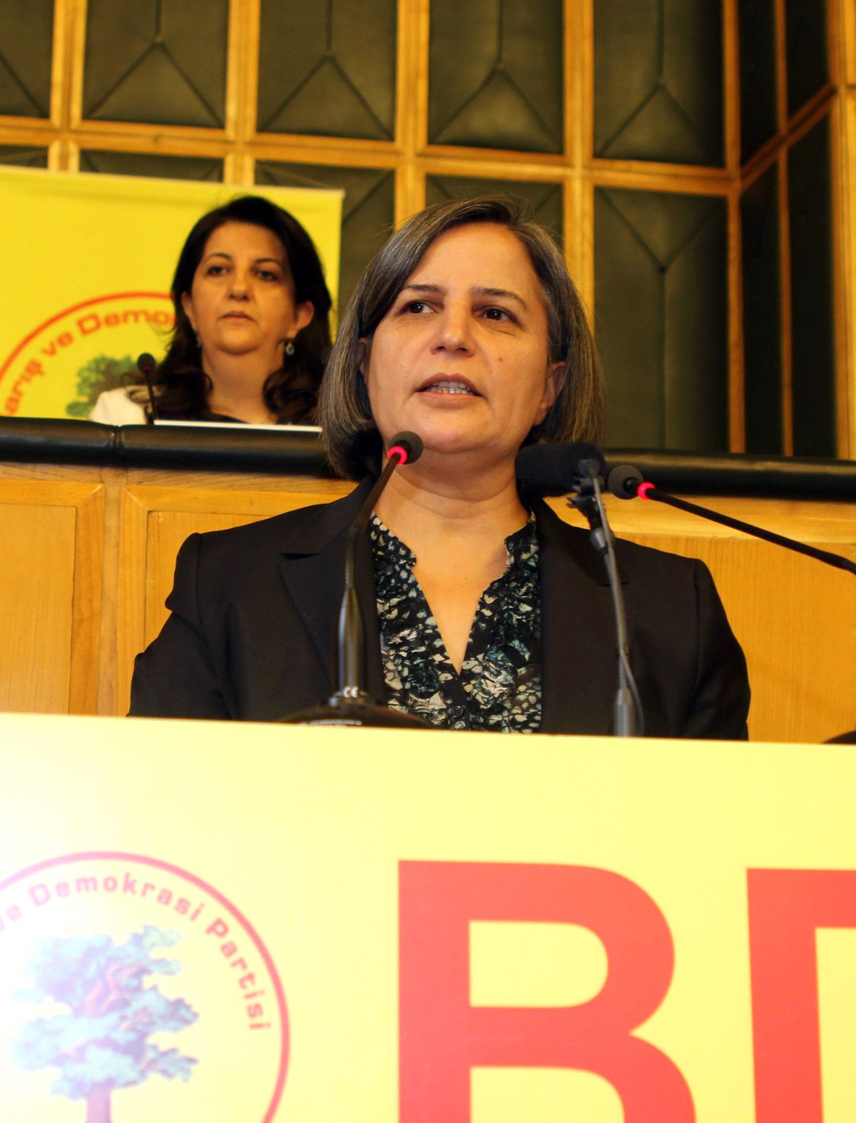 BDP Eş Genel Başkanı Kışanak, \'Marksizm Günleri\' Toplantısına Katıldı