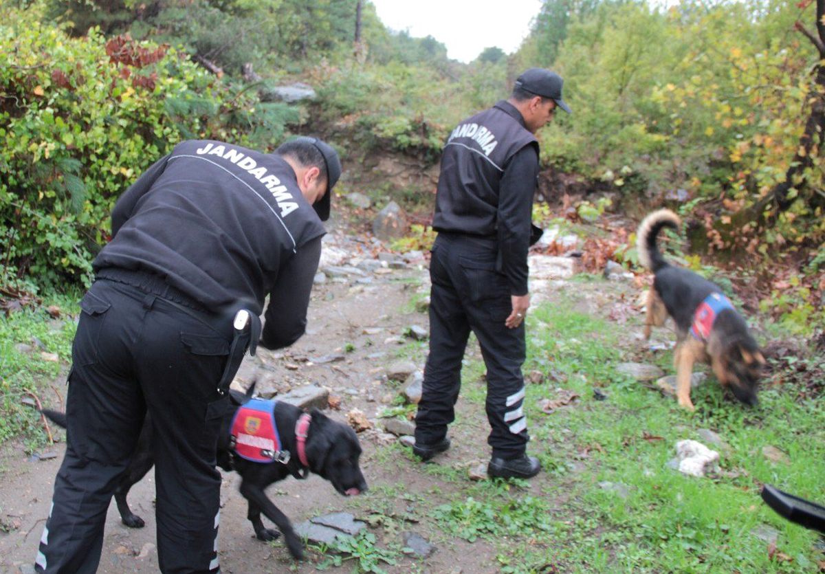 Bursa\'da Arazide Köpekli Timle Patlayıcı Aradılar