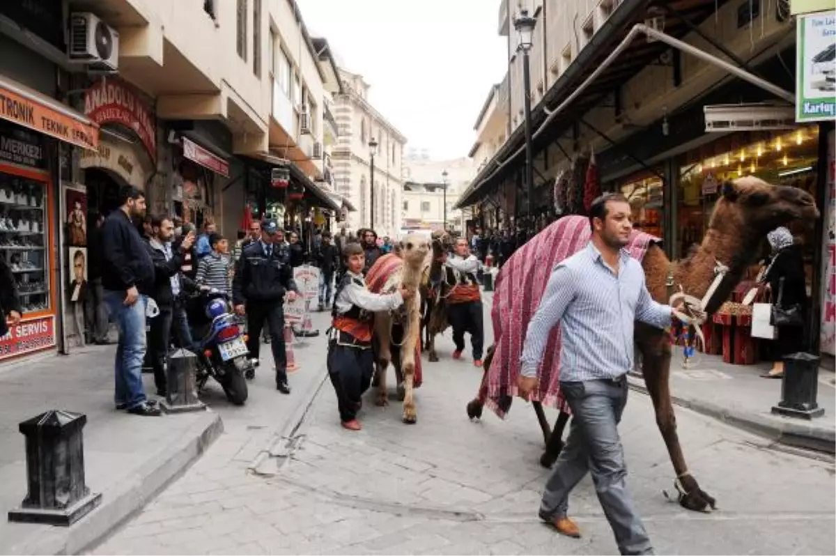 Gaziantep'ten Deve Kervanı Geçti