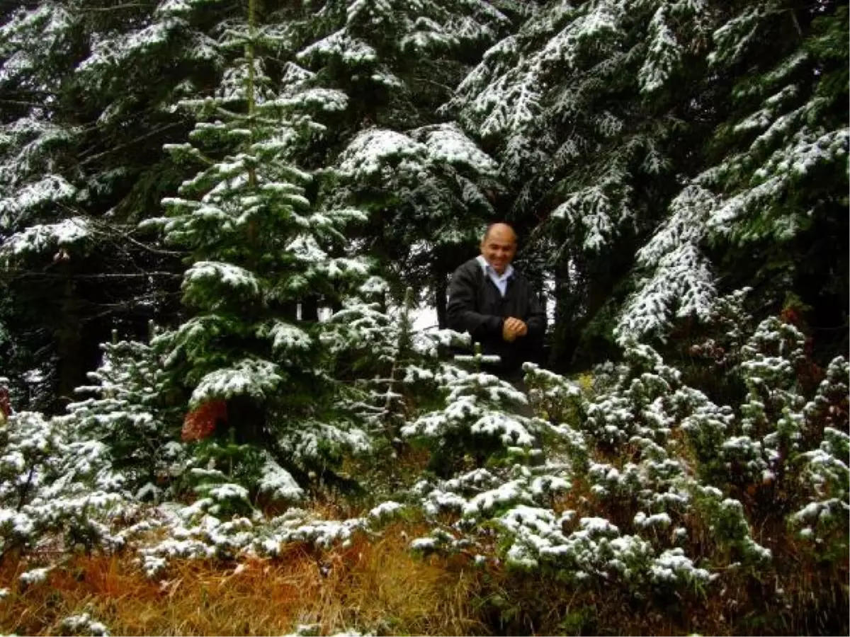 Ilgaz\'a Mevsimin İlk Kar\'ı Yağdı