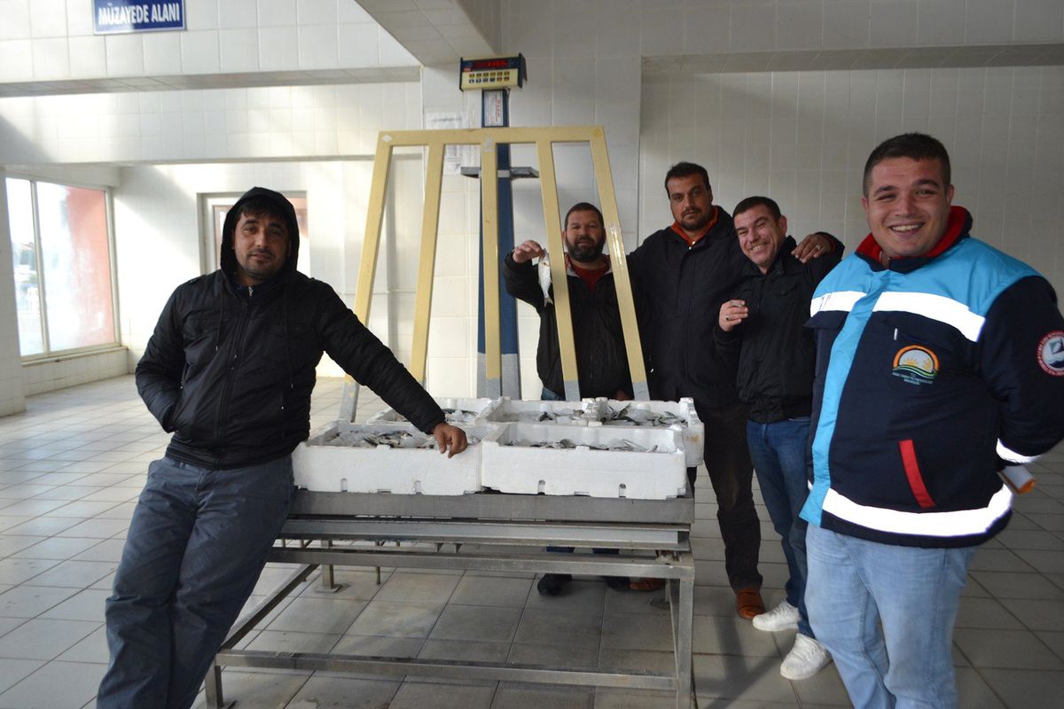 Küçük Balık Operasyonu