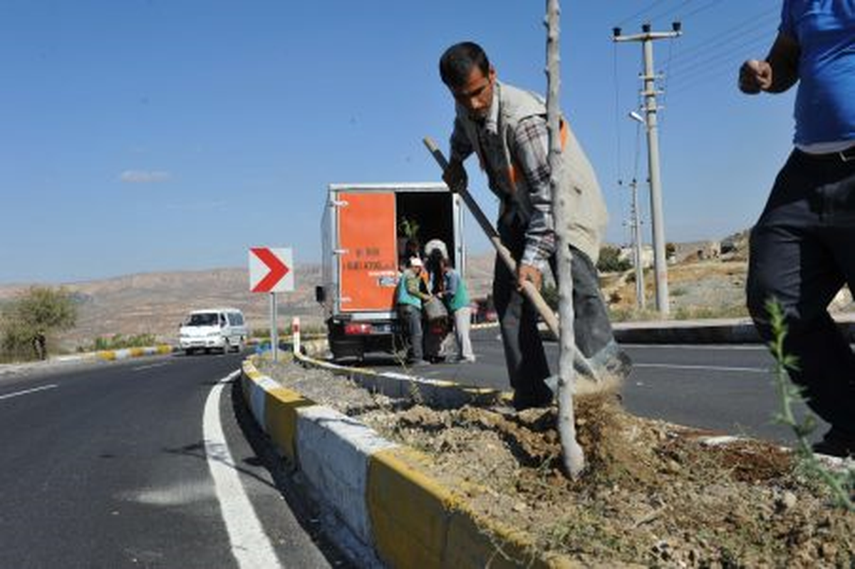Orta Refüjlerde Ağaçlandırma Çalışması