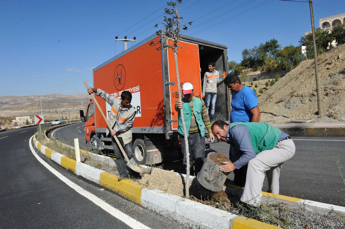 Refüjlerde Ağaçlandırma Çalışması