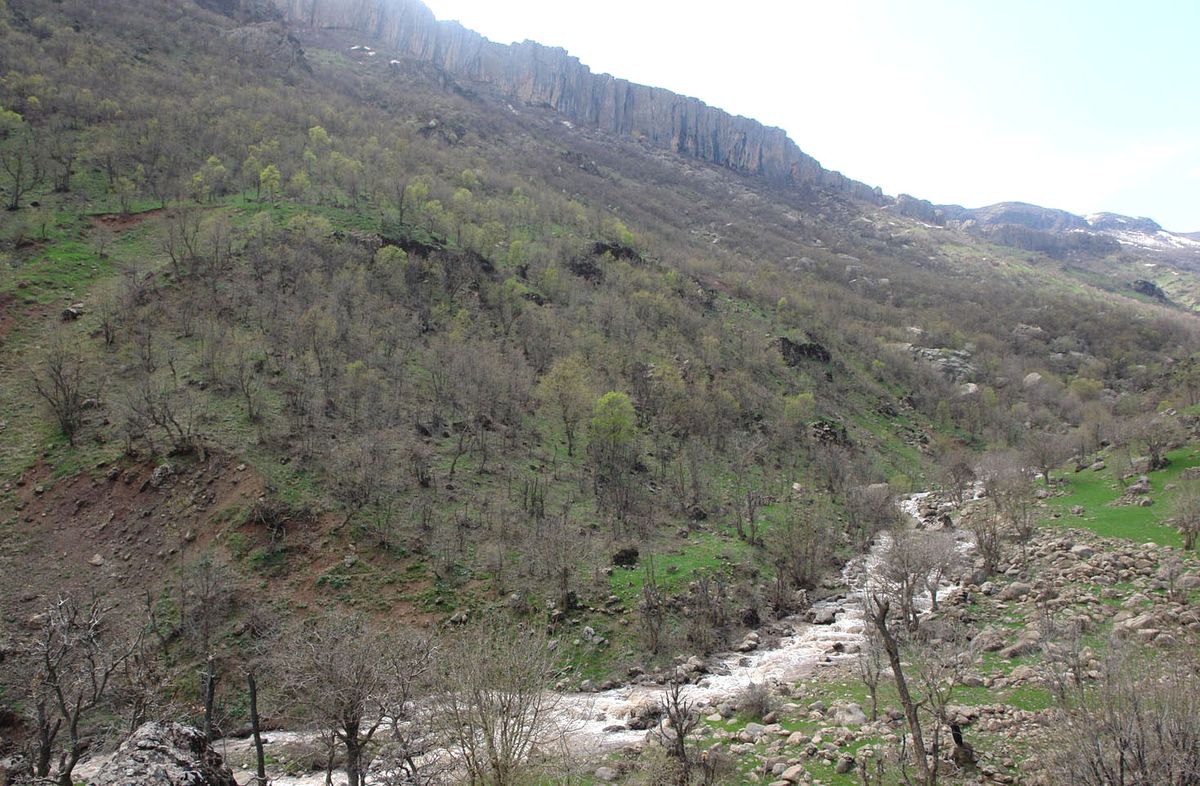 Şemdinli\'de Çatışma