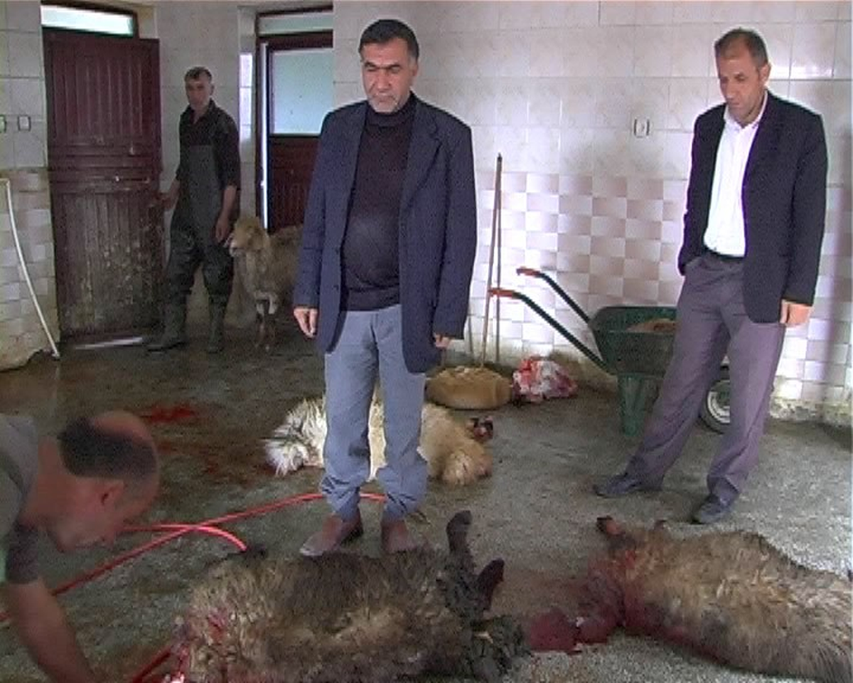 Belediye İşçilerinden Obama\'ya 11 Kurban