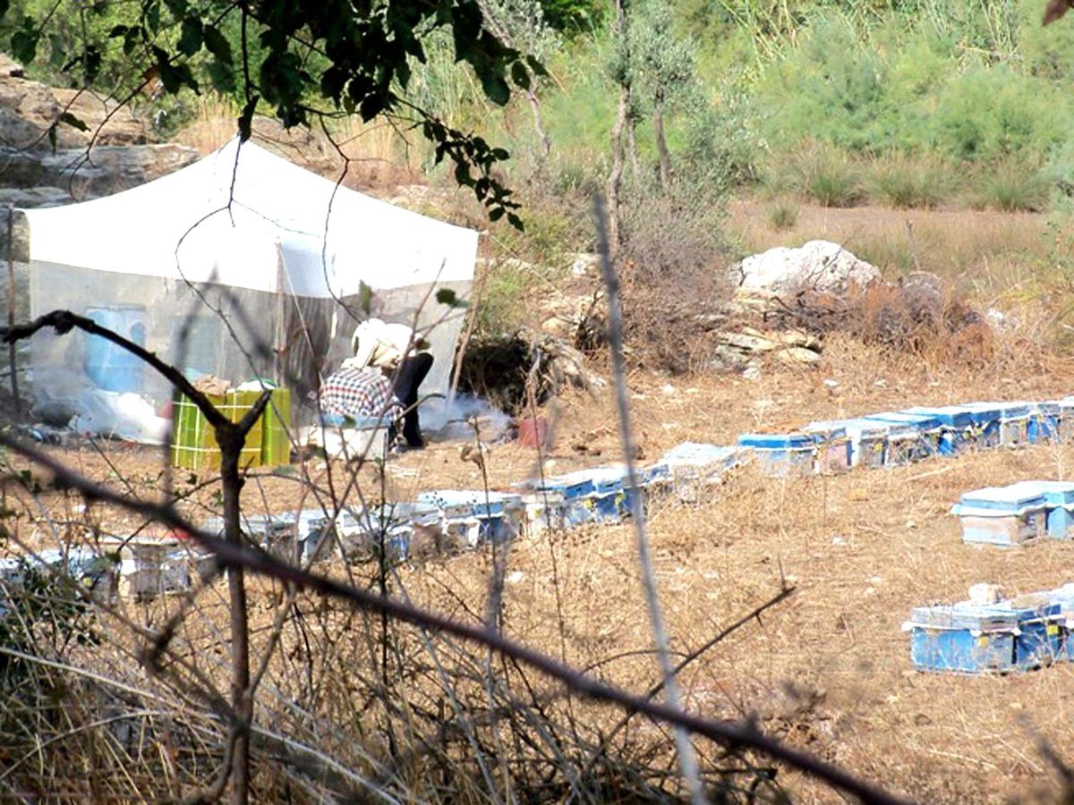 Dalaman\'da Arıcılara 314 Bin TL Ödeme Yapılacak