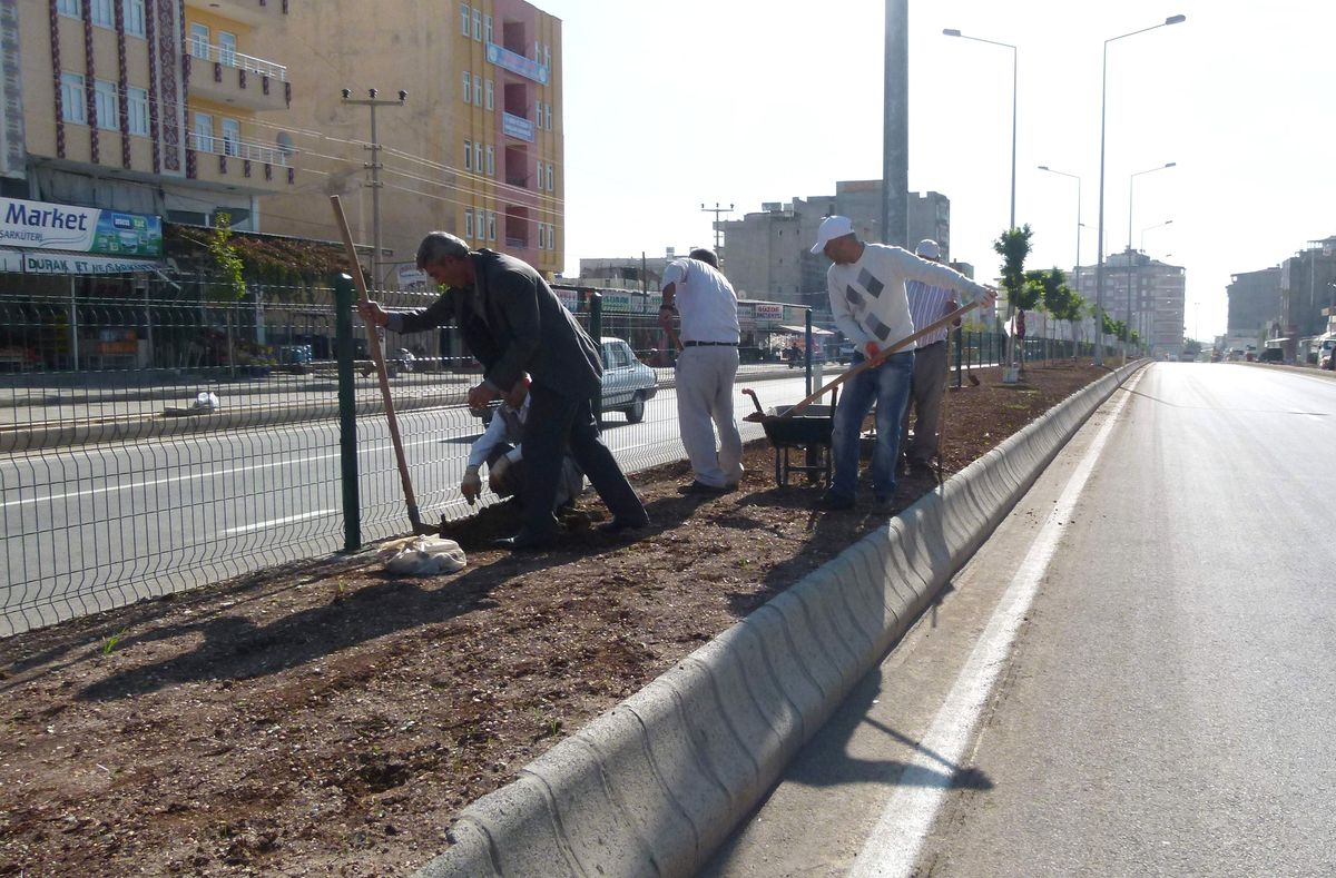 Kahta Belediyesi Diyarbakır Yolunda Çimleme Çalışmalarına Başladı