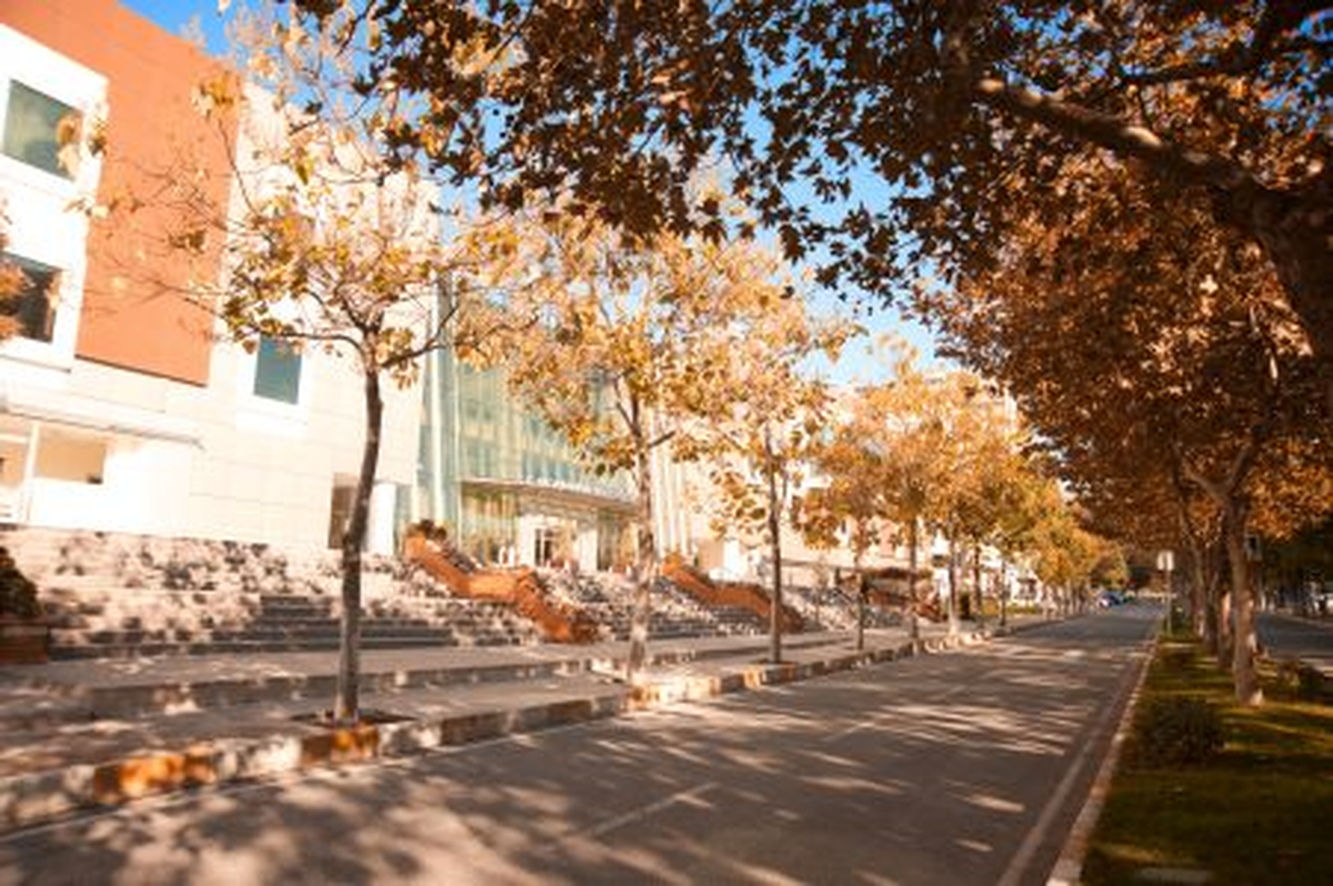 Kasımda Beylikdüzü Başkadır