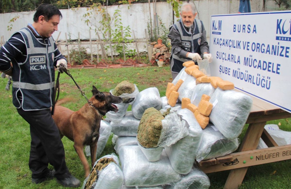 Uyuşturucu Taciri Polisi Görünce Kamyonla Kaçmaya Çalıştı