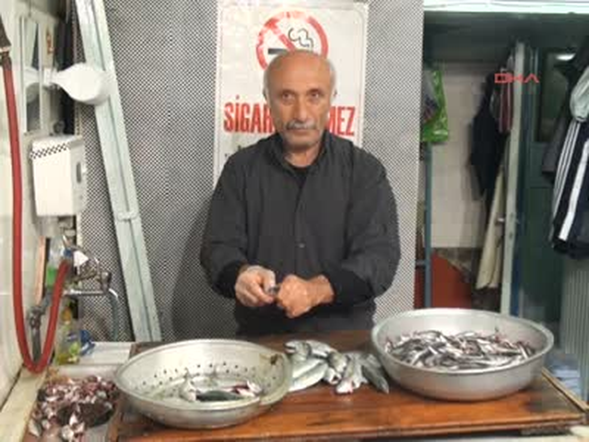 Zonguldak Palamudun Yediği Hamsi, Bu Yıl Az Olacak