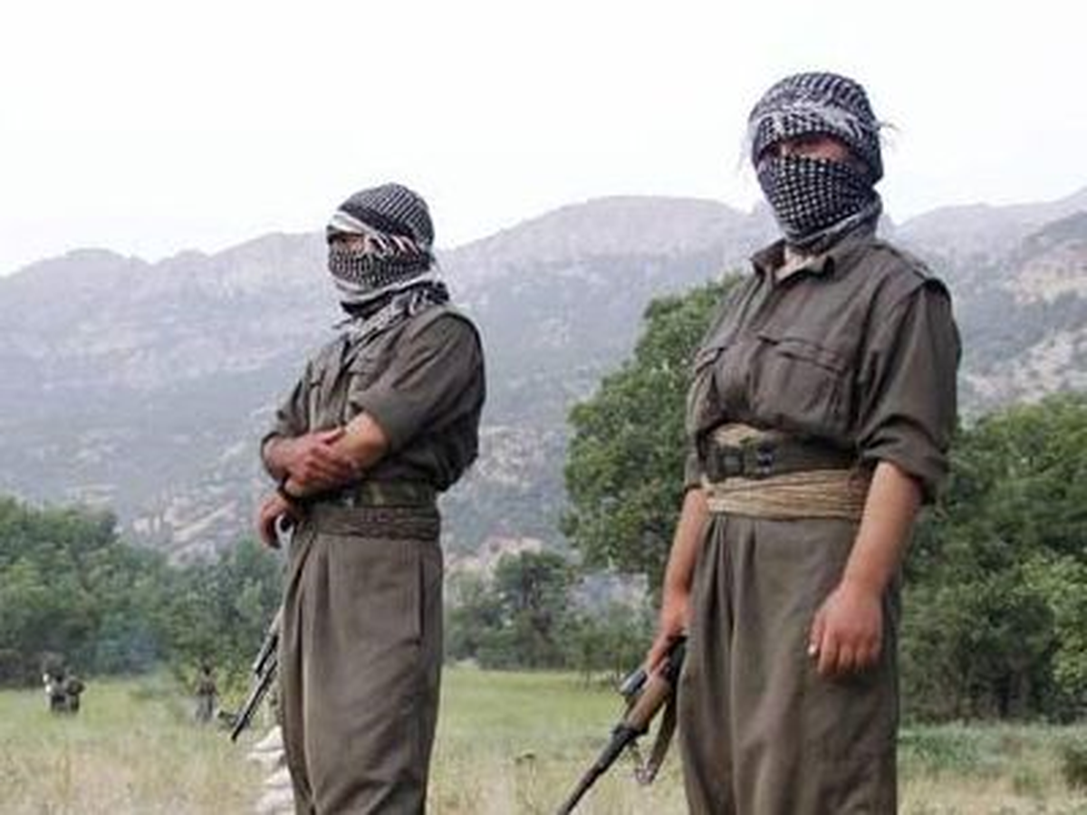 Ağrı\'da 2 PKK\'lı Etkisiz Hale Getirildi